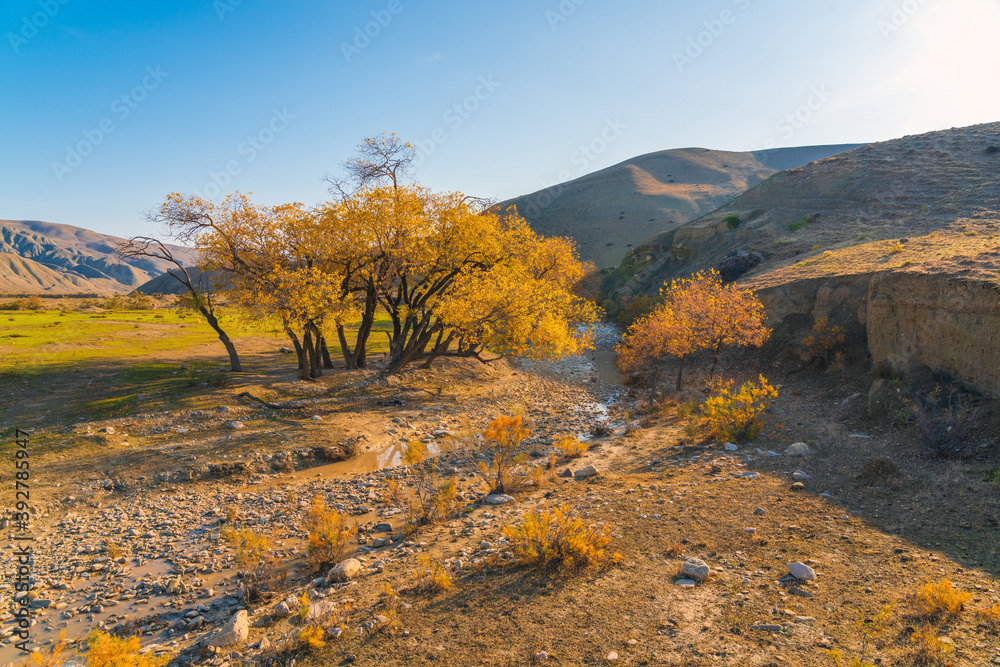 Wall mural Bright colorful autumn in mountains