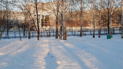 winter in the park