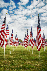 Row of American flags standing in the green field. Veterans Day display. Blue sky and white clouds background.  