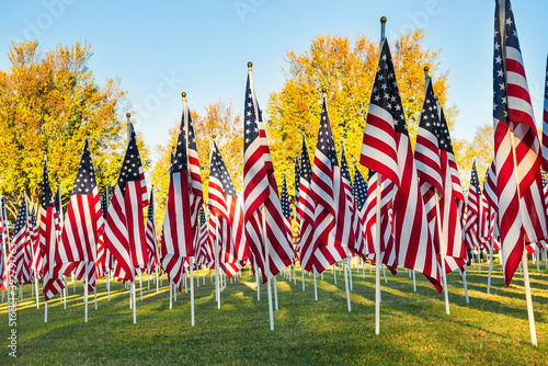 American flags standing in the green field on a beautiful autumn morning. Veterans Day display. Blue sky and autumn trees background.