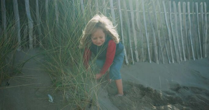 A little preschooler is playing on the beach by a fence in the autumn sun