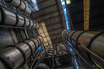 wine barrels in cellar