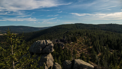 autumn forest and the inversion weather