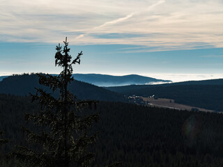 autumn forest and the inversion weather
