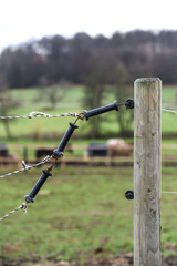 électricité energie cloture agricole agriculture poignee isolation