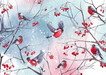 Watercolor winter birds 