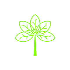 Icon vector graphic of leaf, good for template web etc