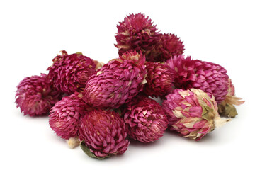 Dried clover flowers tea