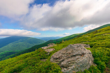 great alpine scenery in summertime