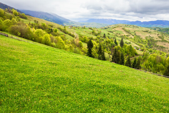 green meadows of mountainous countryside. cloudy weather in springtime. ridge in the distance. beauty of rural landscape