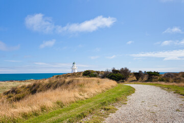 Fototapeta na wymiar Path to Waipapa Point Lighthouse The Catlins of NZ