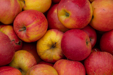 Close up of a group of red apples. Naturally soft light. cloudy day