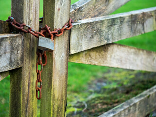 Old rusty padlock on a metal chain on a wooden gate. Green field in the background. Concept security of farmland and private property.