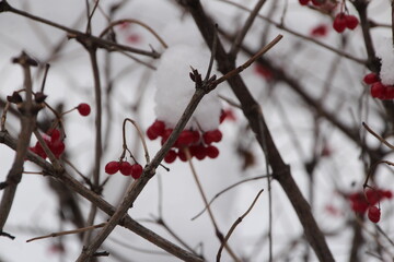 It's snowing and the world is changing.