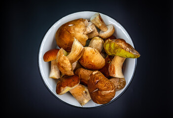 Beautiful fresh porcini mushrooms  in metal basin on dark background isolated season healthy food 