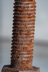 Close-up of a part of an old metal screw covered with rust with fine details clearly visible