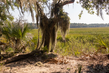 Wormsloe