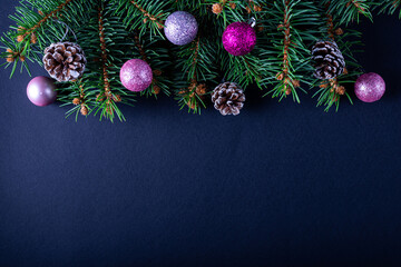 Christmas background: fir branches and copy free space on a black background.