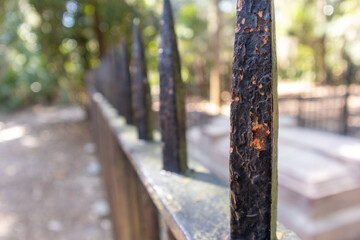 Bonneventure Cemetary