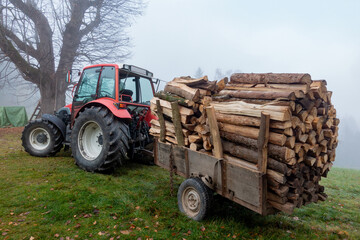 FIREWOOD . BRENNHOLZ  © LitterART