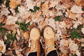 Feet in boots on fallen wet oak leaves on ground in forest. Autumn concept, cold weather, sad...