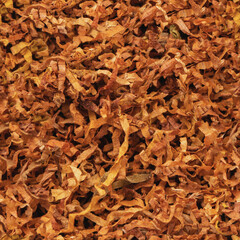 texture of tobacco closeup