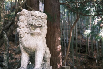 Obraz premium 狛犬