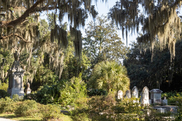Bonneventure Cemetary