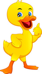 cute little duck thumbs up