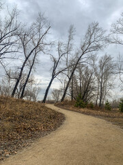 Fototapeta na wymiar Pathway in the empty park, leafless trees, melancholic atmosphere 