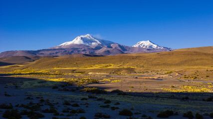 Fototapeta na wymiar Altiplano landscape with the volcanoes Guallatiri and Wallatiri in the high Andes in northern Chile