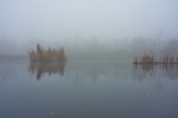 Morning fog on the forest sea in autumn