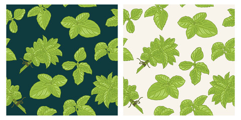 Basil seamless herbs pattern. Colorful sketch cartoon doodle style.