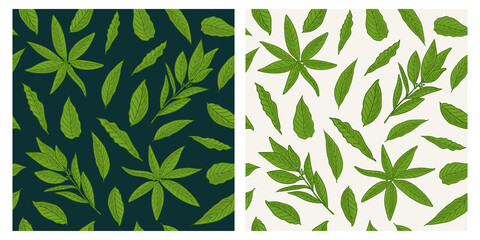 Bay leaf seamless herbs pattern. Colorful sketch cartoon doodle style.