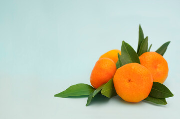 A photo of ripe tangerines with green leaves on turquoise background. - 392811796