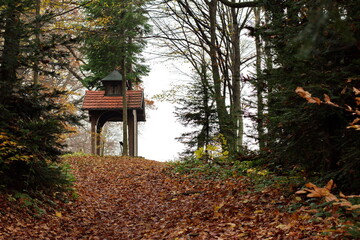 Shelter in the woods - autumn scenery