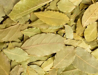 Dried bay leaves texture background.