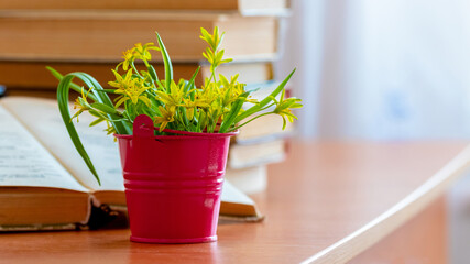 Library with books and a bouquet of yellow spring flowers