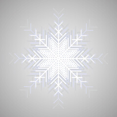 vector isolated on gray background white snowflake