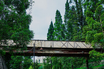 Wooden bridge in the forest
