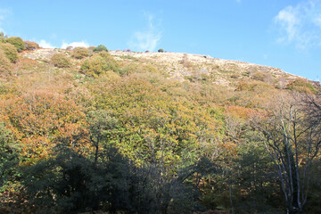 Teign Valley in Autumn