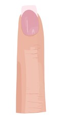 Hand drawn illustration vector white beige skin woman finger with french manucure beautiful nail art designer