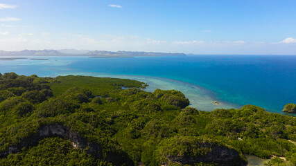 Fototapeta na wymiar Tropical seascape: Island with tropical forest and blue sea. Bohol,Philippines.