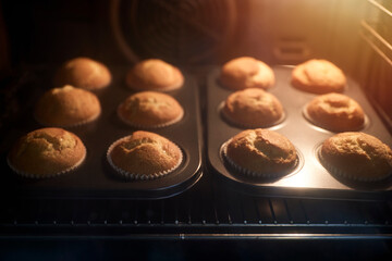 Group of cupcakes inside the oven