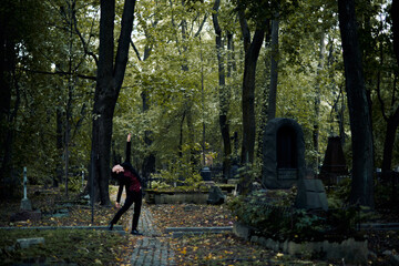 Fototapeta premium walk in the woods