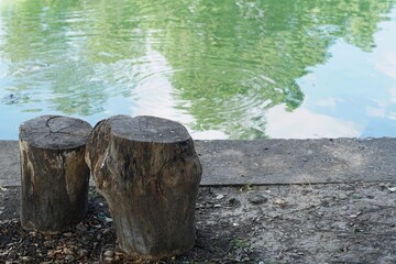 A old stump for the stand beside edge the ponds in the park.