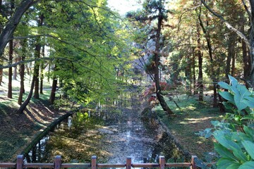 風景　秋　静かな　穏やかな