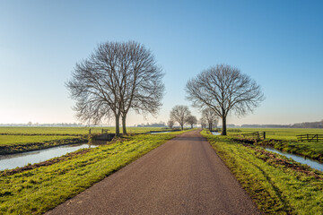 Landscape in the Dutch region of Alblasserwaard with a seemingly endlessly long country road. Bare...
