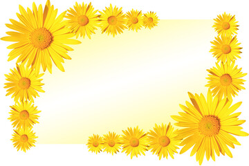 yellow daisy flowers corner arrangement on yellow and white gradient background