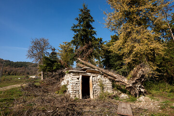 Obraz premium Fallen tree due to the very strong wind on a small stone house in Italian Alps, Veneto, Italy, Europe.